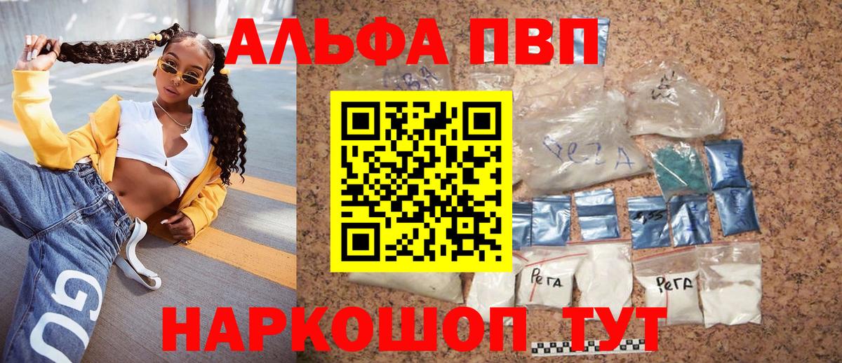 Alfa_PVP СК Новозыбков