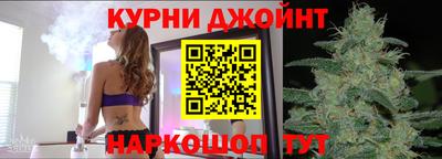 мдпв Гусев