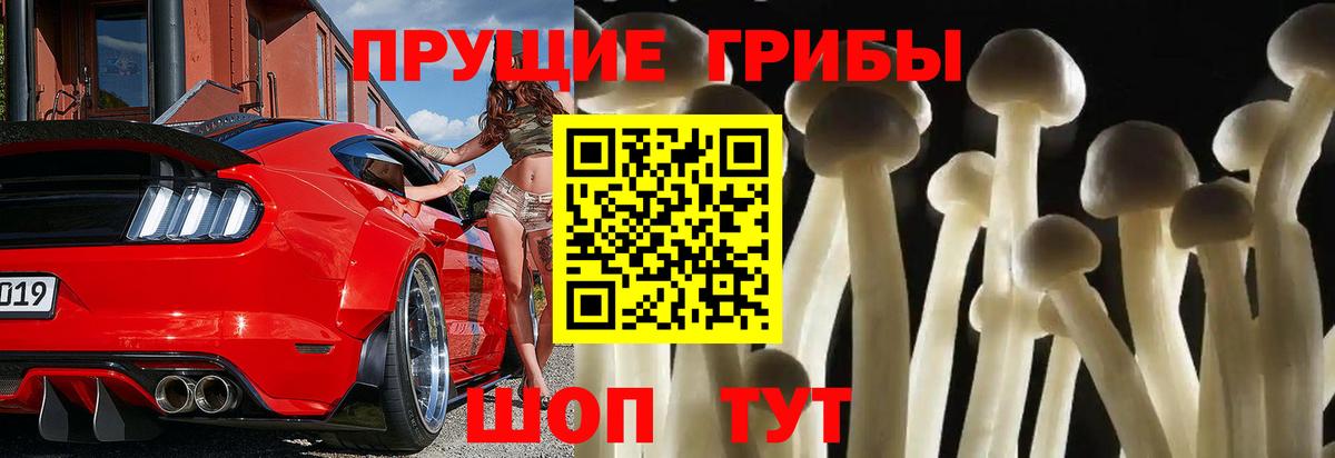 Галлюциногенные грибы GOLDEN TEACHER Новозыбков