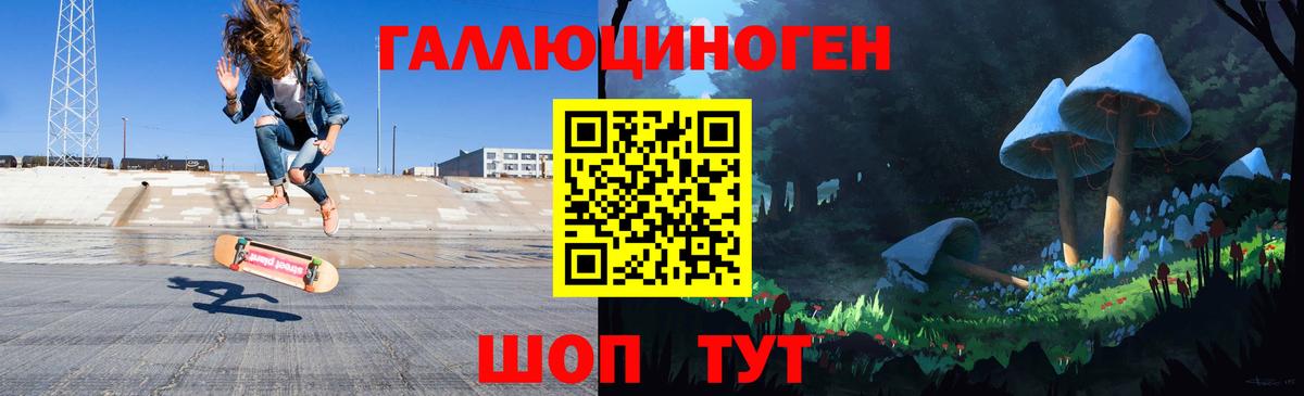 Новозыбков  Галлюциногенные грибы Cubensis  Вход с VPN 