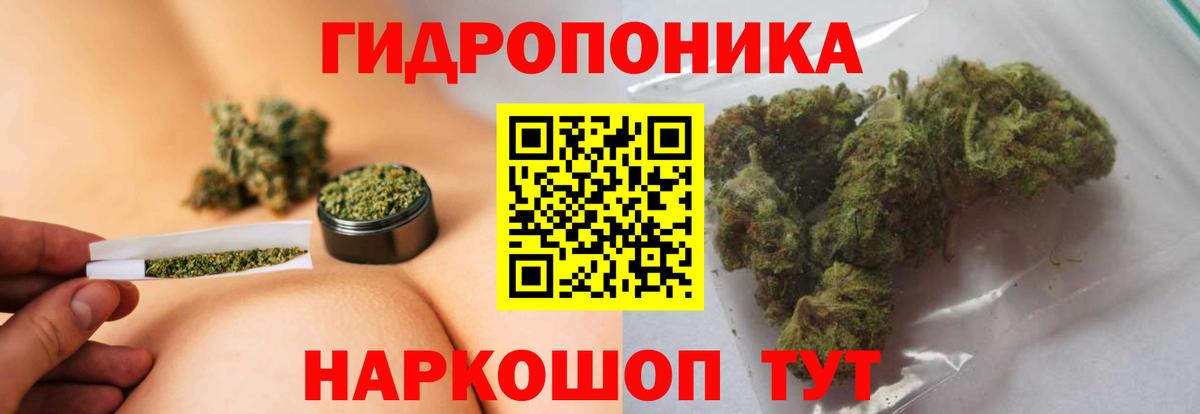 Бошки Шишки индика  Вход с VPN  Новозыбков  Канабис Amnesia 